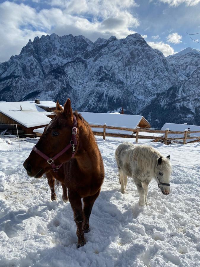 Southern Stables Ranch Bannberg エクステリア 写真